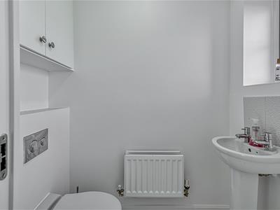 Picture 7